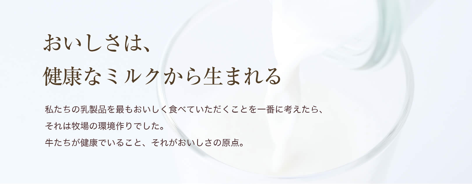 おいしさは、健康なミルクから生まれる｜私たちの乳製品を最もおいしく食べていただくことを一番に考えたら、それは牧場の環境作りでした。牛たちが健康でいること、それがおいしさの原点。